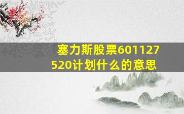 塞力斯股票601127 520计划什么的意思